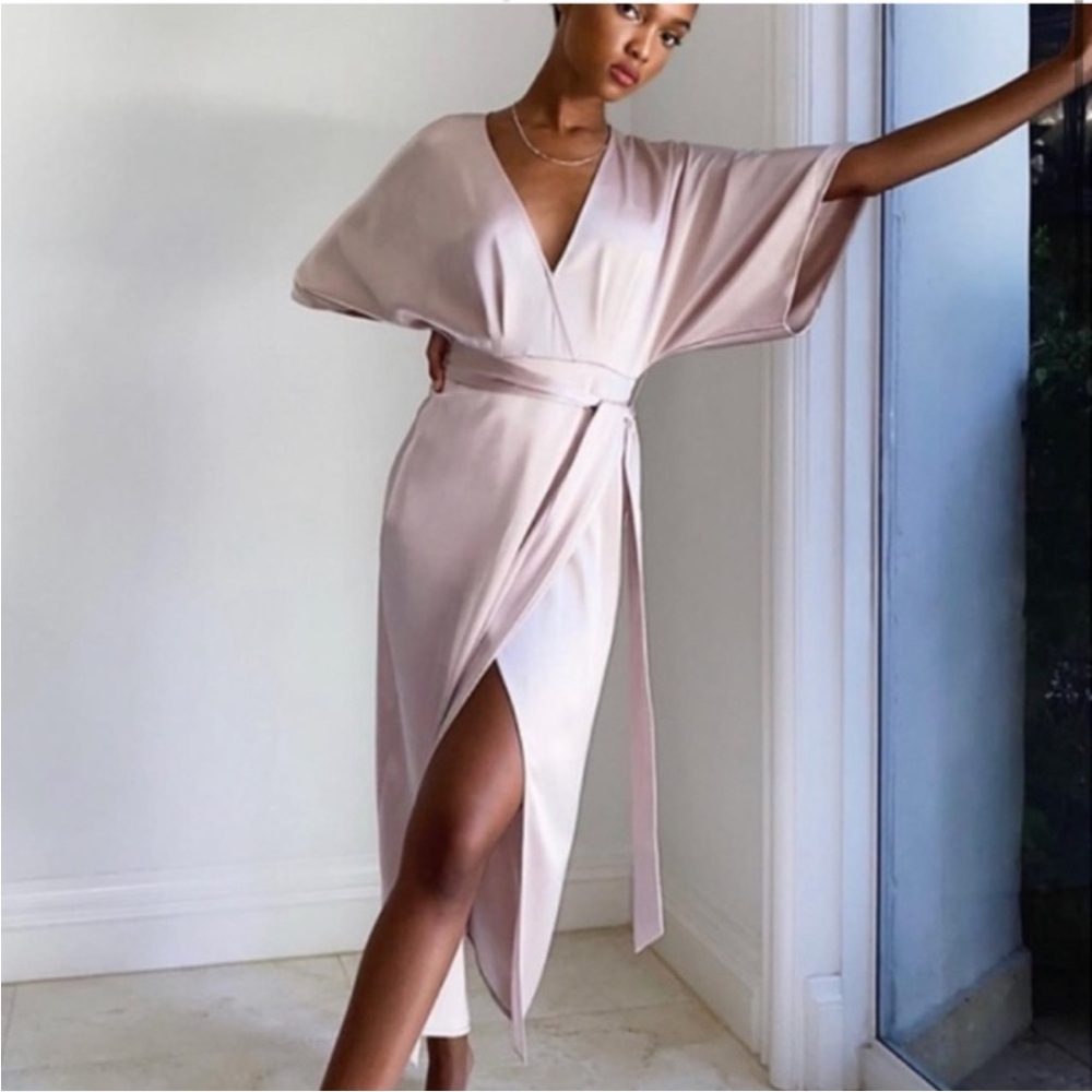 Aritzia Babaton Stanley Dress (8)